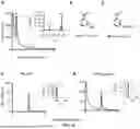 Fig. 18 - RECOMBINANT MICROORGANISMS THAT CATABOLIZE ACETOVANILLONE AND METHODS OF USING SAME