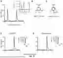 Fig. 20 - RECOMBINANT MICROORGANISMS THAT CATABOLIZE ACETOVANILLONE AND METHODS OF USING SAME