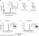 Fig. 21 - RECOMBINANT MICROORGANISMS THAT CATABOLIZE ACETOVANILLONE AND METHODS OF USING SAME