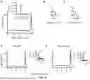 Fig. 22 - RECOMBINANT MICROORGANISMS THAT CATABOLIZE ACETOVANILLONE AND METHODS OF USING SAME