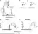 Fig. 24 - RECOMBINANT MICROORGANISMS THAT CATABOLIZE ACETOVANILLONE AND METHODS OF USING SAME