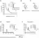 Fig. 25 - RECOMBINANT MICROORGANISMS THAT CATABOLIZE ACETOVANILLONE AND METHODS OF USING SAME