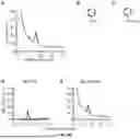 Fig. 26 - RECOMBINANT MICROORGANISMS THAT CATABOLIZE ACETOVANILLONE AND METHODS OF USING SAME
