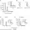 Fig. 28 - RECOMBINANT MICROORGANISMS THAT CATABOLIZE ACETOVANILLONE AND METHODS OF USING SAME