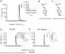 Fig. 29 - RECOMBINANT MICROORGANISMS THAT CATABOLIZE ACETOVANILLONE AND METHODS OF USING SAME