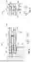 Fig. 04 - SUPPRESSOR AND METHOD OF MANUFACTURING A SHROUD FOR THE SUPPRESSOR