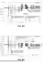 Fig. 09 - METHOD FOR DETERMINING A TOTAL MASS OF A MOTOR VEHICLE