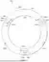 Fig. 06 - Elastomeric Strain Gauge Load Sensors