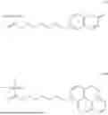 Fig. 08 - CHOLESTERIC LIQUID CRYSTAL LAYER, METHOD OF FORMING CHOLESTERIC LIQUID CRYSTAL LAYER, LAMINATE, LIGHT GUIDE ELEMENT, AND IMAGE DISPLAY DEVICE