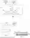 Fig. 02 - ALIGNING IMAGES OF DIFFERENT LAYERS ON A SPECIMEN