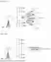 Fig. 09 - METHOD AND DEVICE FOR BEAM MANAGEMENT IN WIRELESS COMMUNICATION SYSTEM