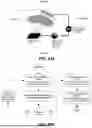 Fig. 61 - SYSTEMS AND METHODS FOR TREATMENT OF OBSTRUCTIVE SLEEP APNEA