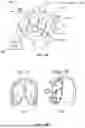 Fig. 35 - ANATOMICAL SCANNING, TARGETING, AND VISUALIZATION