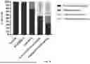 Fig. 35 - ANTI-TREM2 ANTIBODIES AND METHODS OF USE