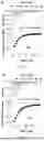 Fig. 43 - METHODS AND COMPOSITIONS OF APTAMERS FOR DETECTION OF LOW COMPLEXITY MOLECULES