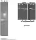 Fig. 03 - METHOD TO GENERATE SUPERCOILED CIRCULAR DNA IN VITRO