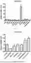 Fig. 02 - APPLICATION OF CIRCULAR RNA IN PREPARATION OF CEREBRAL STROKE DIAGNOSIS PRODUCT
