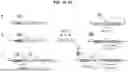 Fig. 02 - ENZYME-LINKED BIOSENSORS