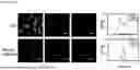 Fig. 09 - METHODS AND SYSTEMS FOR SENSITIVE AND MULTIPLEXED ANALYSIS OF BIOLOGICAL SAMPLES USING HIGH-PERFORMANCE CLEAVABLE, DETECTABLY-LABELED TYRAMIDE