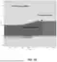 Fig. 08 - ACTIVE RESISTIVITY RANGING WHILE DRILLING AN OPERATIONAL WELL FOR SIMULTANEOUS DETECTION OF MULTIPLE TARGET WELLS