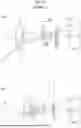 Fig. 17 - VARIABLE MAGNIFICATION OPTICAL SYSTEM AND IMAGING APPARATUS