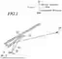 Fig. 06 - Display Device