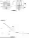 Fig. 06 - Upsampling Input Pixels of a Frame Using a Jitter Pattern over a Sequence of Frames