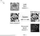 Fig. 02 - DOMAIN SWAP AND ARTIFICIAL GENERATED VIRTUAL IMAGES