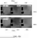 Fig. 08 - ARTIFICIAL INTELLIGENCE(AI)-BASED SYSTEMS AND METHODS FOR GENERATING AND EVALUATING RECONSTRUCTED MULTI-SPECTRAL IMAGES DEPICTING SKIN