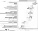 Fig. 19 - SYSTEM AND METHODS FOR OBSERVING MEDICAL CONDITIONS