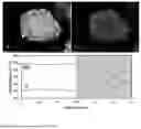 Fig. 07 - POSITIVE ELECTRODE ACTIVE MATERIAL FOR LITHIUM SECONDARY BATTERY, METHOD FOR PREPARING SAME, AND LITHIUM SECONDARY BATTERY INCLUDING SAME