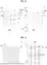 Fig. 06 - AFFINE MODEL-BASED IMAGE ENCODING/DECODING METHOD AND DEVICE