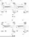 Fig. 02 - Compression-Informed Video Super-Resolution