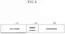 Fig. 07 - APPARATUS AND METHOD OF CUSTOMIZED INFORMATION PROVIDING USING FINGERPRINT INFORMATION OF CONTENTS