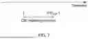 Fig. 08 - TERMINAL, RADIO COMMUNICATION METHOD, AND BASE STATION