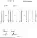 Fig. 07 - METHOD FOR TRANSMITTING WAKE-UP SIGNALS, METHOD FOR RECEIVING WAKE-UP SIGNALS, NETWORK DEVICE, AND TERMINAL