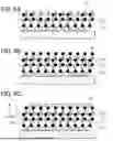 Fig. 07 - MEMORY DEVICE AND METHOD FOR MANUFACTURING THE MEMORY DEVICE