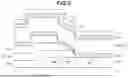 Fig. 04 - ORGANIC LIGHT EMITTING APPARATUS AND METHOD OF MANUFACTURING THE SAME