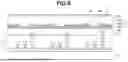 Fig. 09 - ORGANIC LIGHT EMITTING APPARATUS AND METHOD OF MANUFACTURING THE SAME