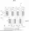 Fig. 09 - Display Apparatus
