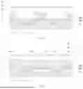 Fig. 06 - DISPLAY PANEL, METHOD FOR PREPARING DISPLAY PANEL, AND ELECTRONIC DEVICE