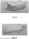 Fig. 02 - PET CHASE TOY