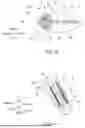 Fig. 07 - FISHING LURE