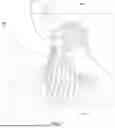 Fig. 02 - Hair Color Application Device
