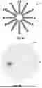 Fig. 08 - SYSTEMS AND METHODS FOR SIMULATING VISUAL ANOMALIES TO DIAGNOSE OCULAR CONDITIONS