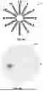 Fig. 08 - SYSTEMS AND METHODS FOR EXAMINING TEAR FILM QUALITY USING HIGH-RESOLUTION IMAGERY