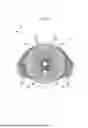Fig. 04 - OPHTHALMIC APPARATUS