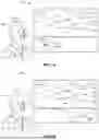 Fig. 16 - SYSTEMS AND METHODS FOR ASSESSING EYE COORDINATION THROUGH EYE-TRACKING EXERCISES