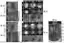Fig. 07 - LASER-SPECKLE CONTRAST IMAGING SYSTEM AND METHOD