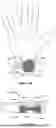 Fig. 09 - DEVICES, METHODS AND SYSTEMS FOR EAR-BASED PHOTOACOUSTIC PLETHYSMOGRAPHY
